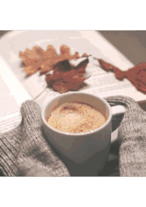 Herbstzeit ist Selbstfürsorgezeit: Wie ätherische Öle und ganzheitliche Rituale dich durch die dunkle Jahreszeit begleiten